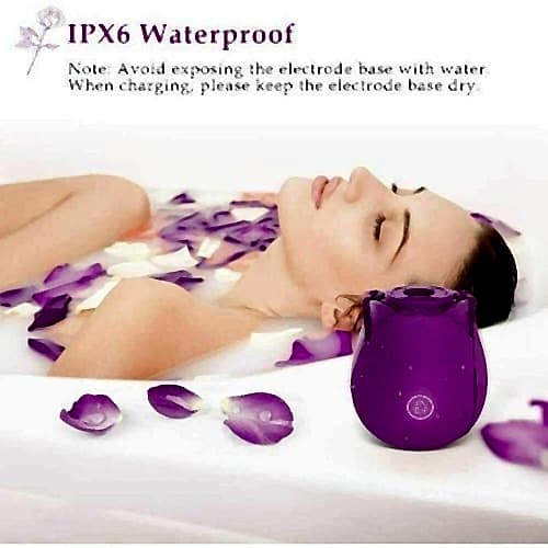Vibrator Vagina CLIT Female couple sex toy
